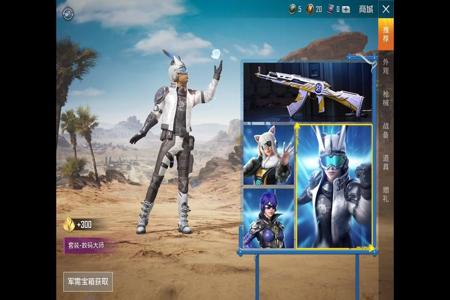 和平精英上什么辅助最好(和平精英有什么辅助) 和平精英上什么辅助最好(和平精英有什么辅助)